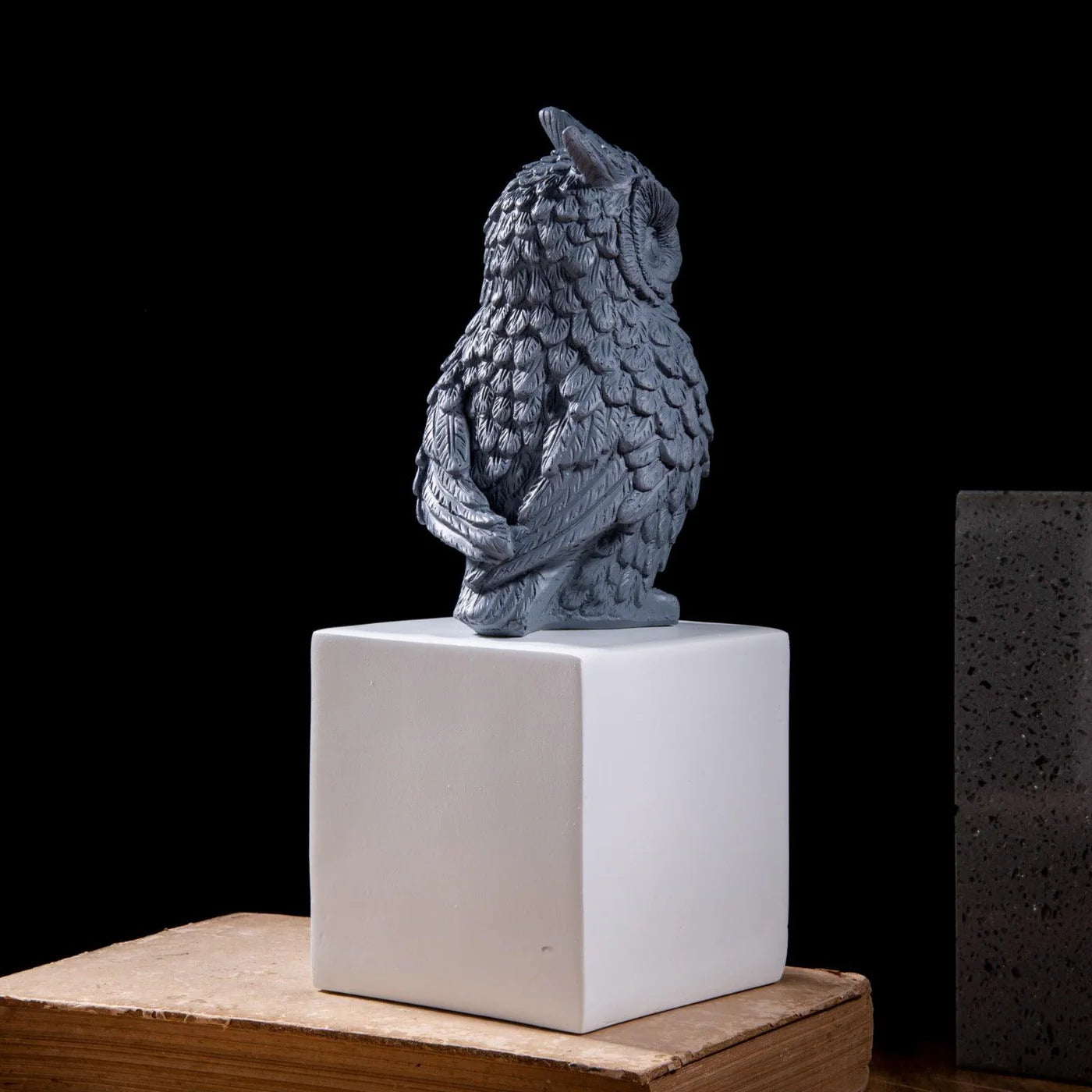 WISE OWL BRINGS FORTUNE DECOR