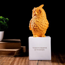 WISE OWL BRINGS FORTUNE DECOR