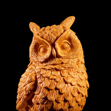 WISE OWL BRINGS FORTUNE DECOR